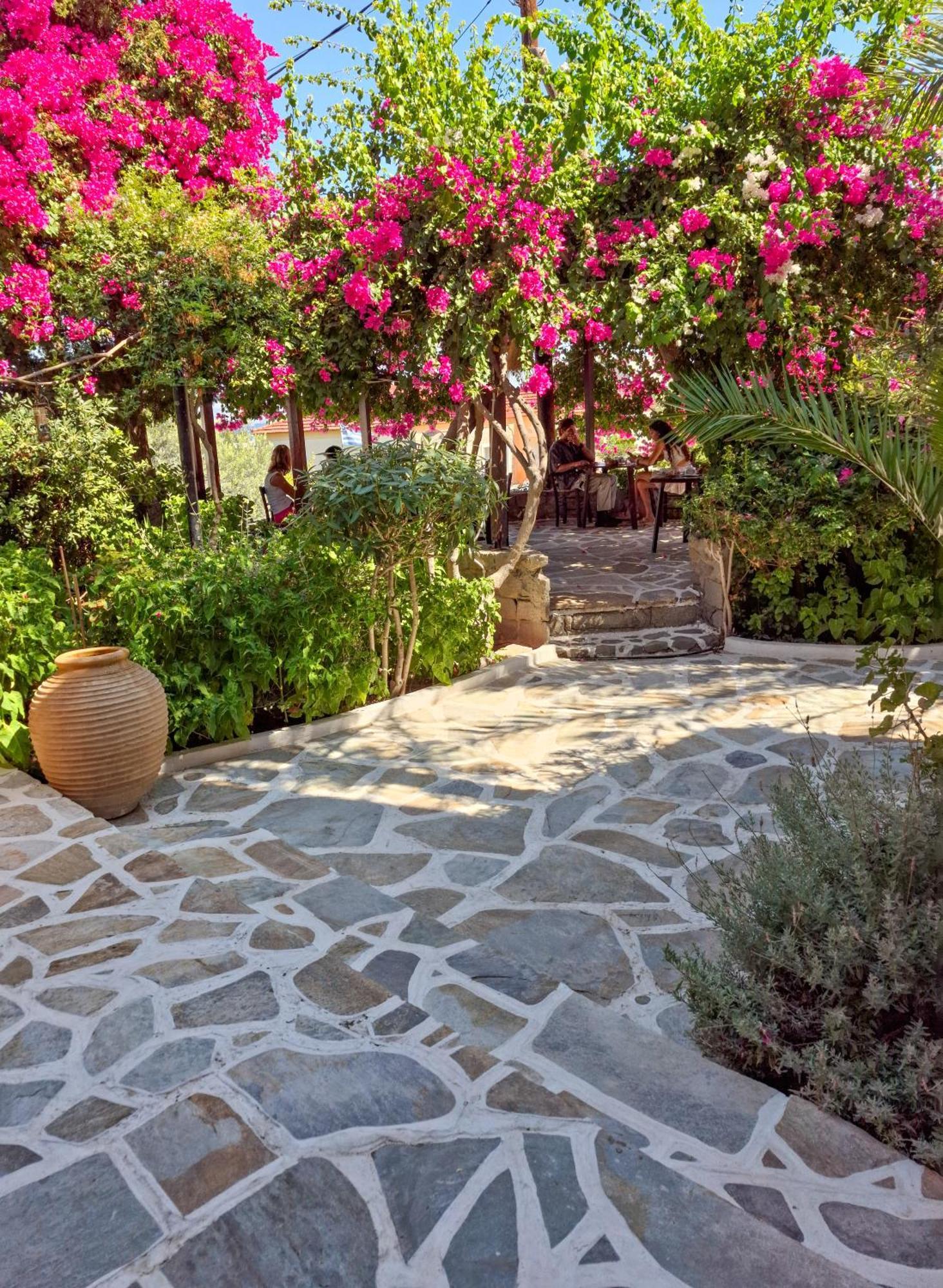 Vagia Traditional, Aegina Island Dış mekan fotoğraf