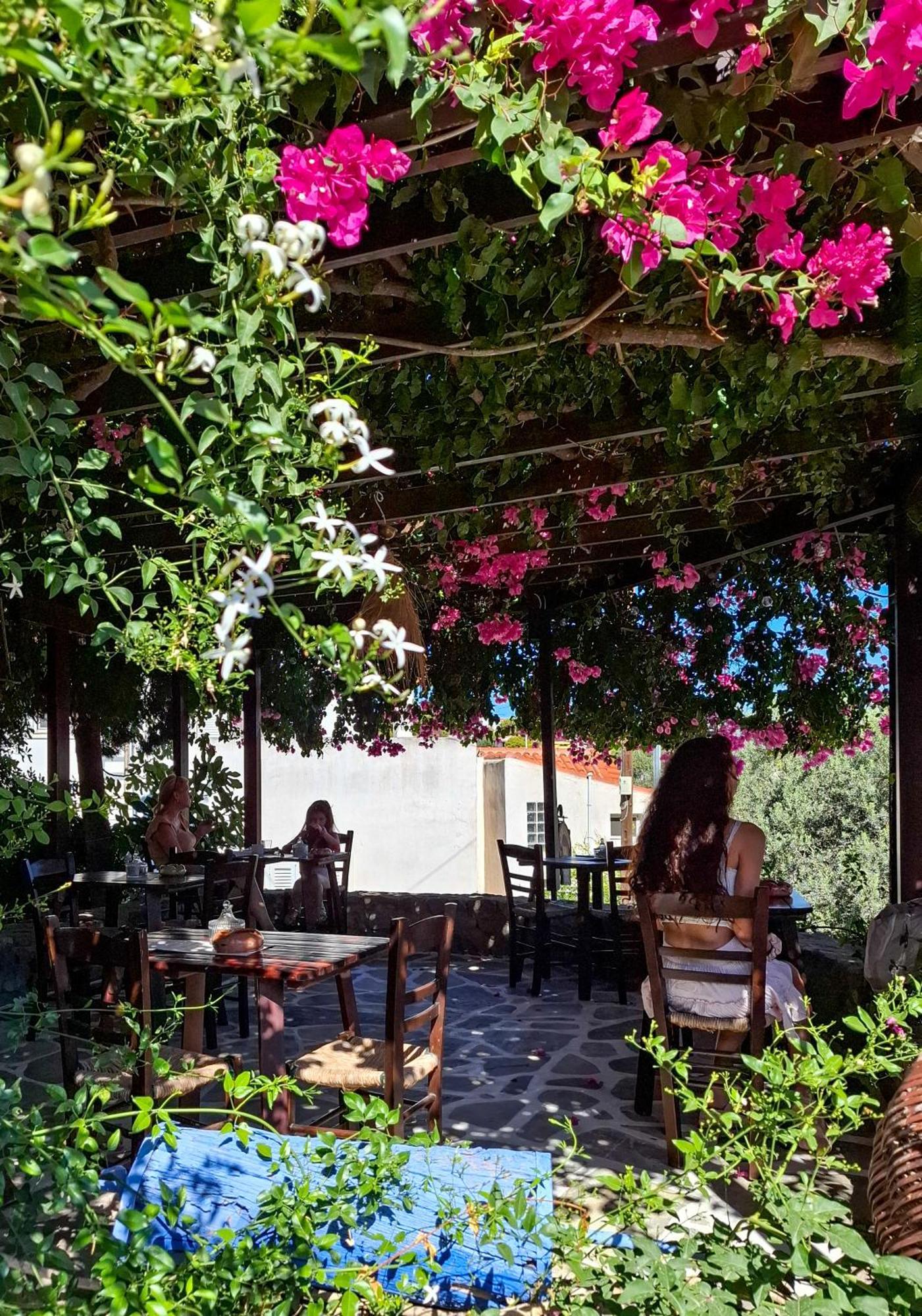 Vagia Traditional, Aegina Island Dış mekan fotoğraf