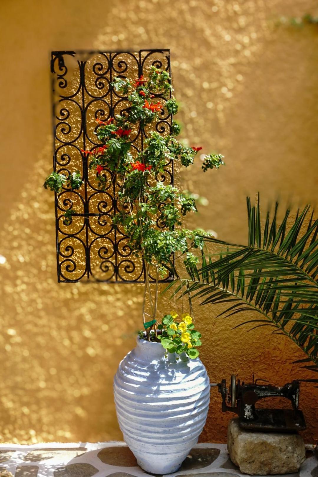 Vagia Traditional, Aegina Island Dış mekan fotoğraf